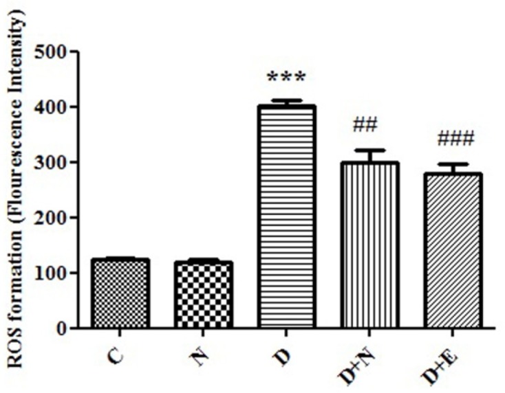 Effect of Nanoceria on ROS formation in embryo tissue. ROS formation was determined in C(Control mice), N( Mice that received Nanoceria for 16 days) , D (Diabetic mice), D+N ( Diabetic mice that received Nanoceria for 16 days), D + E (Diabetic mice that received vit E for 16 days) using DCFH-DA as described in Materials and methods. Values represented as mean ± SD (n = 6). ***P < 0.001 compared with control mice, ##P < 0.01, ###P < 0.001 compared with diabetic mice.