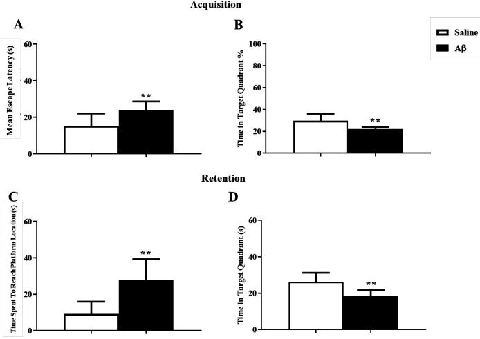 The effect of Aβ on reversal reference learning and memory. (A and B) Aβ had a significant deteriorating effect on the reversal reference learning test. (C and D) Aβ impaired the reversal reference memory retention **p < 0.01 compared to the control group