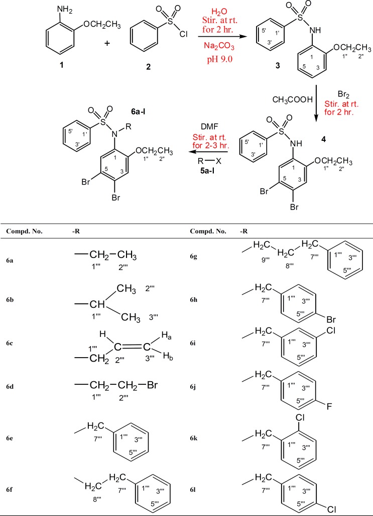 Synthesis of dibromosulfonamides 6a-l