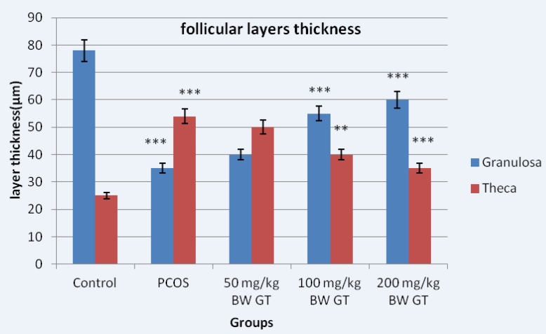 Diameter of the granular and theca layers thickness in control, PCOS control and experimental groups. Measuring the thickness of follicular layers showed the thickness of the theca layer in the PCOS control group significantly increased compared to the control group. However, the thickness of the theca layer in the experimental groups significantly decreased compared to the PCOS control group. Relative to PCOS control group, 10-day sequential treatment with the green tea extract resulted in a significant increase in theca and a significant decrease in granulosa layer thickness. ***P<0.001; **P<0.01.