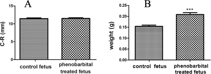 The C-R length of mice fetus (A)(control group C-R mean, 10.54±0.76 and treated group C-R mean, 10.53±0.66), (p< 0.01).The weight of mice fetus (B), (control group weight mean, 0.154±0.018 and treated group weight mean, 0.209±0.029), (p< 0.01).