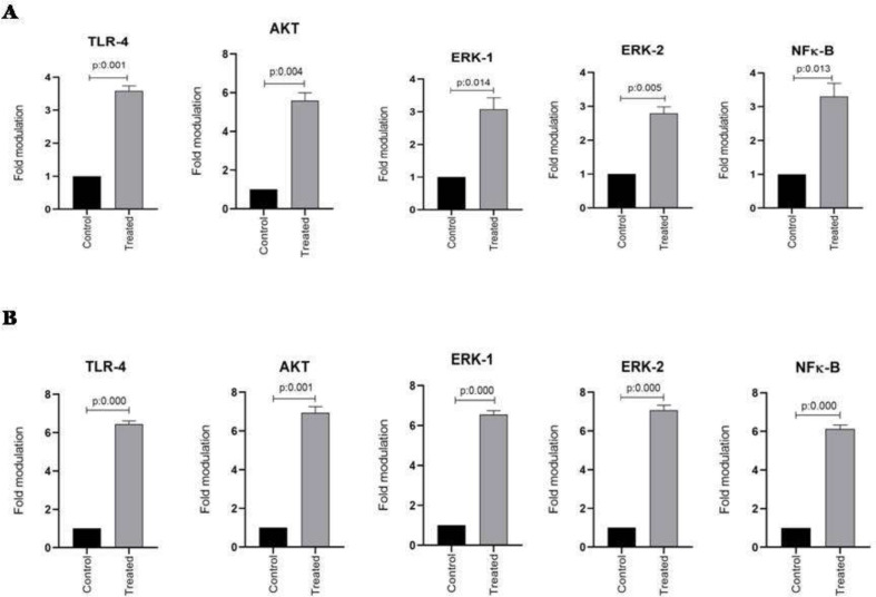 The effect of AlR (0.03 mg/mL) on the expression of TLR-4, Akt, ERK1/2, and NFκB mRNA in esophageal and stomach cell lines. (A) Genes expression in KYSE-30 cell line. (B) Genes expression in AGS cell line. β-actin was used as a loading control. The data were expressed as mean ± SEM. *P < 0.05 vs. control group. AlR: Arctiumlappa L. root extract
