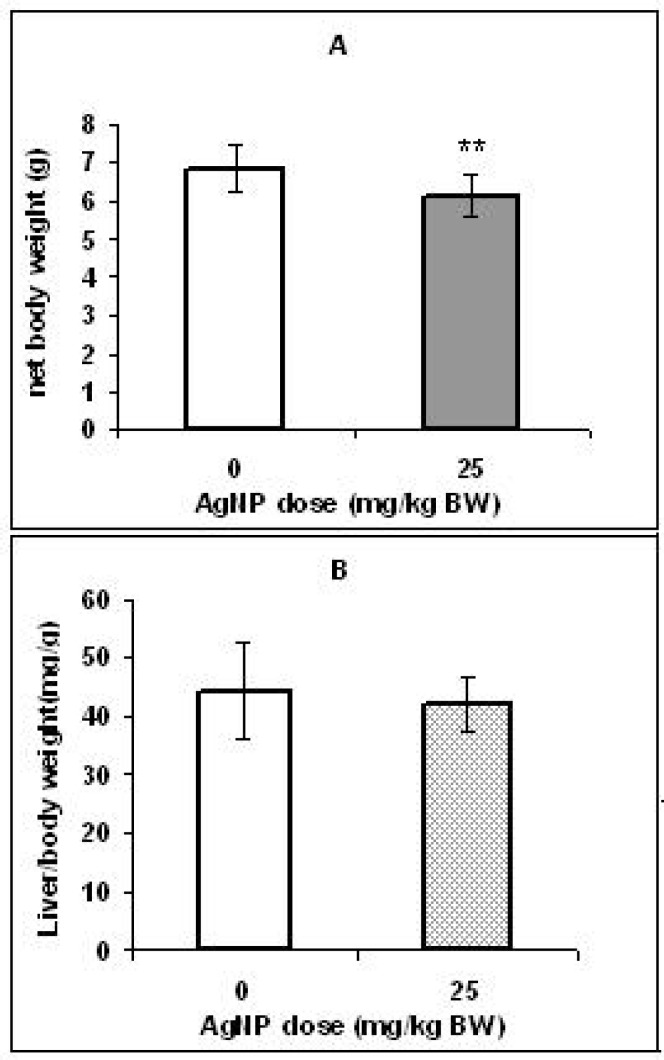 Effect of AgNPs on net weight (A) and liver/body weight ratio (B) of offspring rats. Bars marked with a star show significant different from control group (** p < 0.01). Values are means ± SD. N = 16.