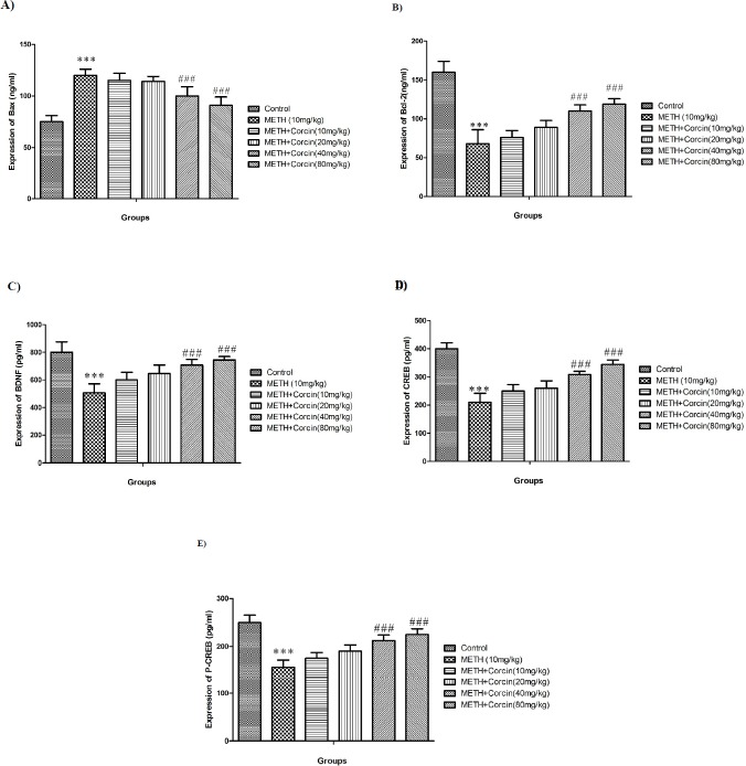 Effects of various doses of crocin (10, 20, 40 and 80 mg/kg) on METH-induced alterations in protein expression of (A) Bax, (B) Bcl-2, (C) BDNF, (D) total CREB and (E) phosphorylated CREB in rat isolated hippocampus. All data are expressed as Mean ± SEM (n = 8).