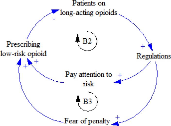 B2 and B3 feedback loops