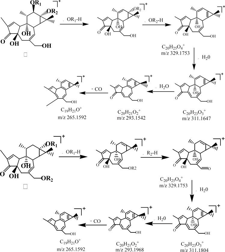 Proposed fragmentation pathways and characteristic ions of Phorbol esters: (׀) phorbol 12,13-diesters; (׀׀) Deoxy phorbol-13,20-diesters.