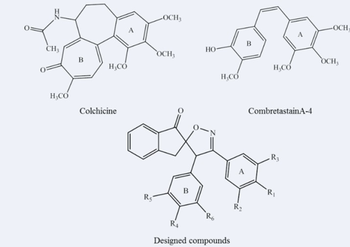 Chemical structures of antitubulin agents (Colchicine, CombretastainA-4) and our designed scaffold.