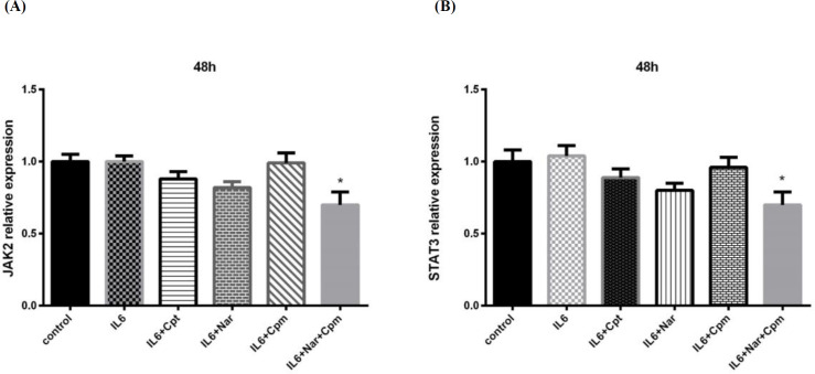 The effect of Naringenin combined with IL-6 and Cyclophosphamide on (A) JAK2 and (B) STAT3 gene expression comparing to the cells treated with IL-6 and control group. The demonstrated results are the mean ± SD of at least three individual experiments. *P < 0.05