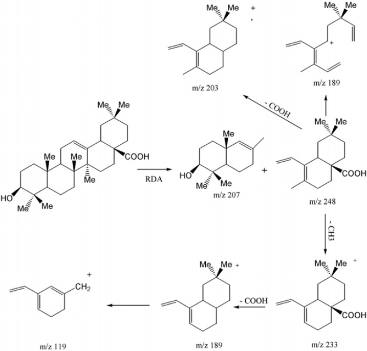EI-Mass fragmentation pattern of oleanolic acid