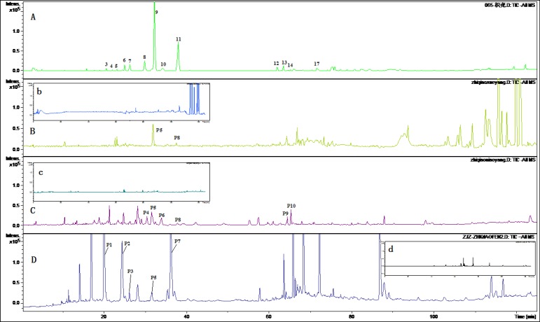 TIC Chromatograms of rat biological samples after oral administration of the extract of Fructus Aurantii in positive ESI mode. (A) TIC chromatogram of the extract of Fructus Aurantii; (B) TIC chromatogram of the rat plasma after oral administration (b: blank plasma); (C) TIC chromatogram of the rat urine after oral administration (c: blank urine); (D) TIC chromatogram of the rat faces after oral administration (c: blank feces).