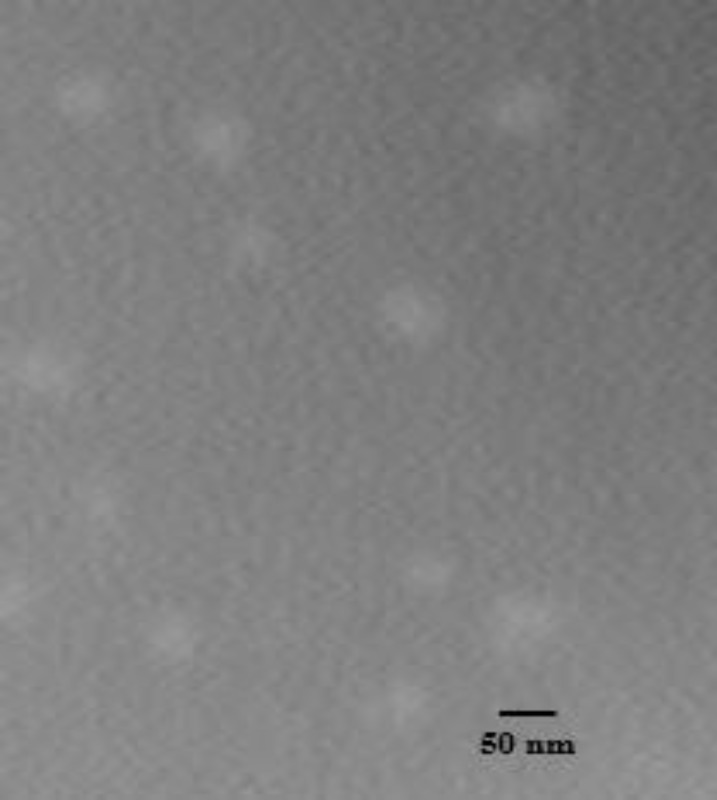 Transmission electron photomicrographs of the blank P85 polymeric micelles (F4). The scale bar represents 50 nm