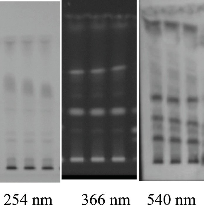 TLC Plate developed at 254 366 nm and A.S reagent (540 nm) in triplet form