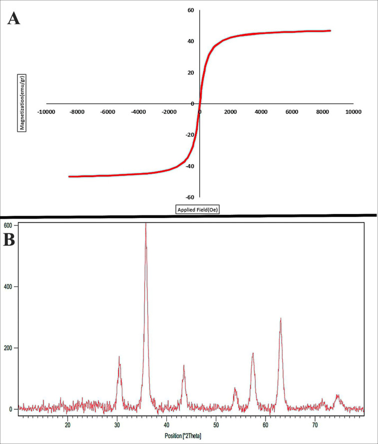 (A) The magnetic behavior (VSM analysis) and (B) XRD pattern of Fe3O4@SiO2 nanoparticles
