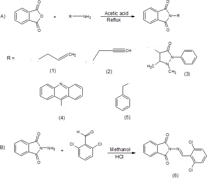 Synthesis of N-substituted phthalimide derivatives