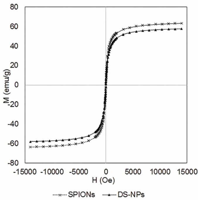 The magnetic behavior (VSM) of SPIONs and DS-NPs (300 K