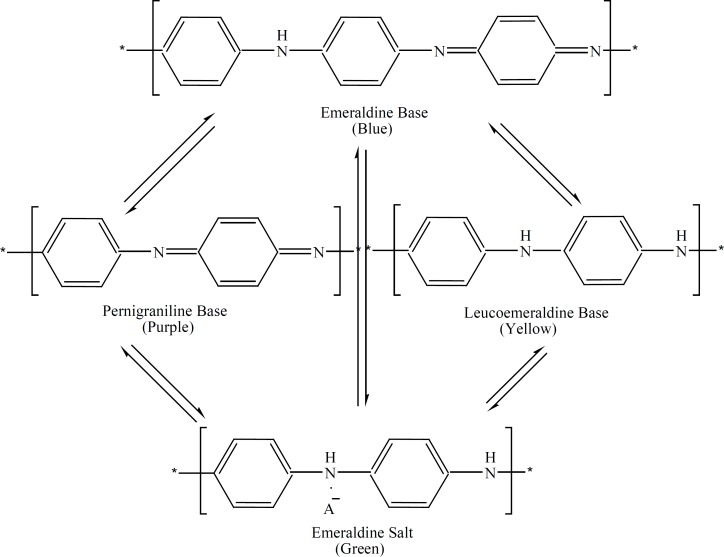 The different oxidation states of polyaniline