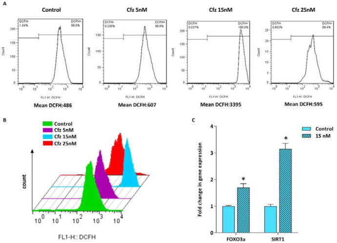 Flow cytometric analysis of ROS generation in Molt4 cells following treatment with increasing concentrations of Cfz. (A and B) Cfz increased the production of intracellular ROS in Molt4 cells. (C) The mRNA levels of FOXO3a and SIRT1 in Molt4 cells treated with 15 nM Cfz as compared with the untreated cells. Values are shown as mean ± SD of three independent experiments. P-values ≤ 0.05 are indicated by asterisk and considered as statistically significant changes compared with control