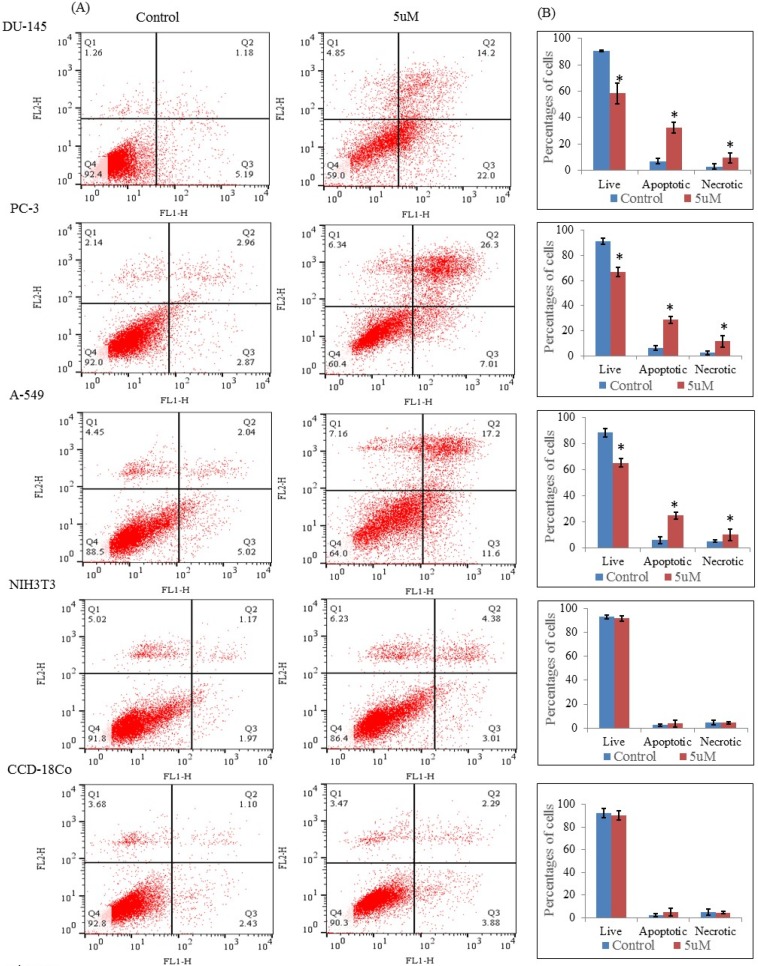 Flow cytometric analysis through Annexin V-FITC and propidium iodide dual staining. The cells were treated with nimbolide (5 uM) for 24 h, then stained with Annexin V-FITC and propidium iodide and measured by flow cytometry. (A) Representative dot plots from one of three independent experiments with percentages of cells in the respective quadrants are indicated Q1: Necrotic cells, Q2: late apoptotic cells, Q3: early apoptotic cells, Q4: live cells. (B) Bar graph represents the average percentages of live, apoptotic (early and late) and necrotic cells ± standard deviation from three independent experiments