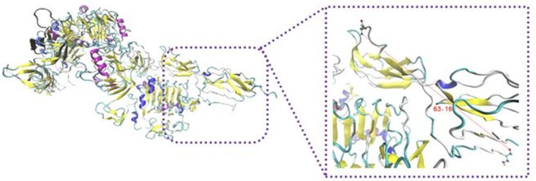 Schematic illustration of IR/insulin homodimer sequential docking approach. Distance between the mentioned regions were more than 50 Å, a restraint was defined in their connected hinge. It describes the power of salt bridges to expose rigid part 3 towards L1 on the opposite monomer