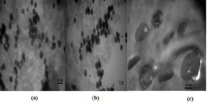 TEM images of nanoparticles. TEM images for (a, b) Gd2O3-DEG (c) Magnetoliposomes: uniformity and spherical or ellipsoidal shaped for Gd2O3-DEG and agglomeration for two other nanoparticles are observed