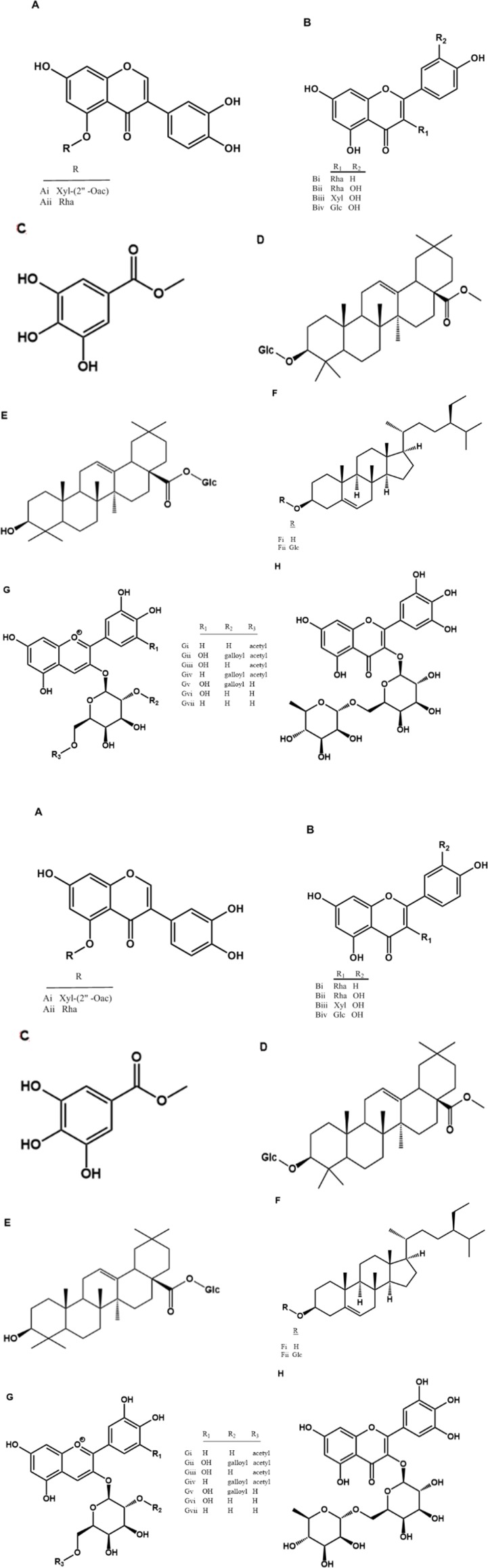 Natural products isolated from Nymphaea spp. (A) 5-glycosyl isoflavones, (B) 3-glycosyl flavones, (C) methyl gallate (D) methyl 3-O-β-D-glucopyranosyloleanolate, (E) 28-O-β-D-glucopyranosyloleanolate, (F) sitosterols, (G) 3-O-glycosylated anthocyanins, (H) myricetin 3-O-α-L-rhamnopyranosyl(1→6)β-D-galactopyranoside, (I) myricitrin (J) nympholide A, (K) nympholide B, (L) 1, 2, 3, 4, 6-pentagalloyl-D-glucose, (M) myricetin-3’-O-(6”-p-coumaroyl) glucoside