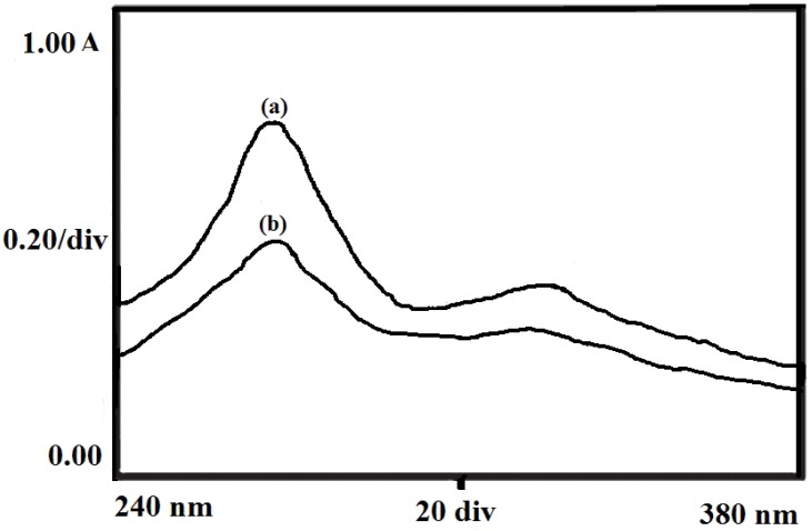 UV spectra showing the chemical stability of insulin in its pure solution (a) and release media (b