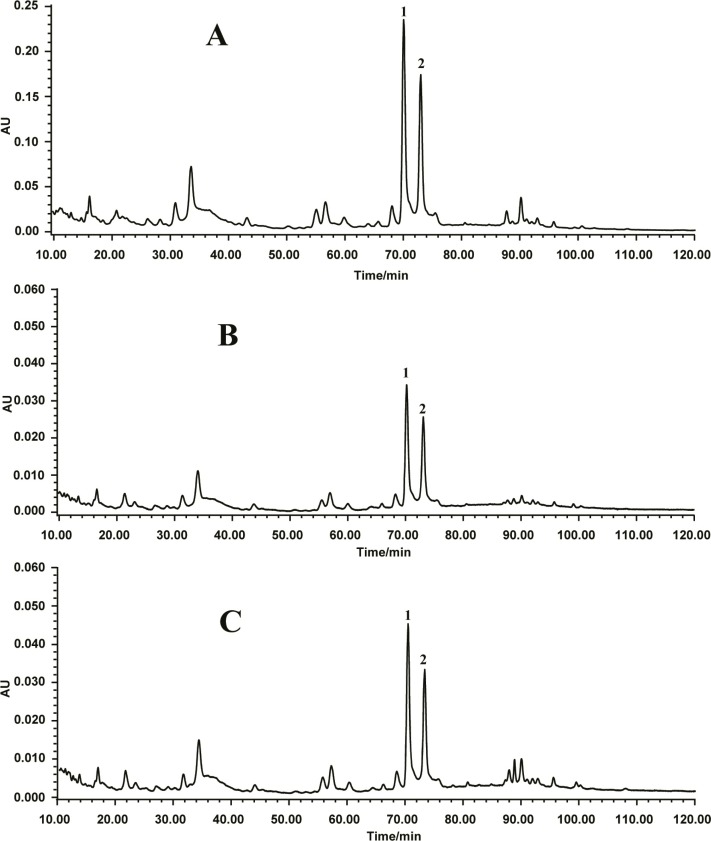 HPLC chromatogram of (A) chloroform/methanol extract, (B) methanol extract, and (C) 70% ethanol extract of O. japonicus root. Peak 1: methylophiopogonanone A; peak 2: methylophiopo- gonanone B