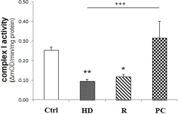 High dose LPS reduced the activity of complex I. HD LPS reduced complex I activity while PC preserved this activity. Data are shown as mean ± SEM. Treatments were repeated 3 times. *P < 0.05, **P < 0.01 vs. Ctrl, +++P < 0.001 vs. HD