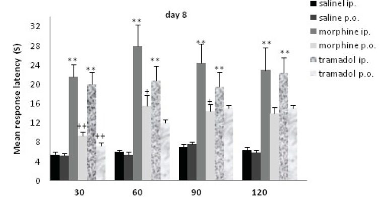 Comparisons of response latency in hot plate test every 30 min after drug administration at day 8. The rats were treated with saline, morphine or tramadol (cumulative doses, either IP or PO) for 8 consecutive days. They were tested individually for nociceptive response on hot plate test at 30, 60, 90, and 120 min after treatment. ** indicates p< 0.005 with similar saline group (e.g. morphine IP with saline IP); + indicates p<0.05, ++ p<0.001 with alternative method of administration (e.g. morphine IP with morphine PO).