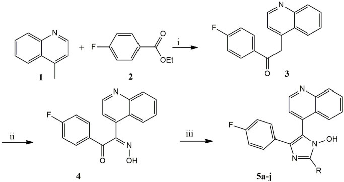 Synthetic pathway of 1-hydroxy-2,4,5-triaryl imidazole 5a-j. Reagents and conditions (i): NaHMDS, dry THF, NaNO2, dry THF; (iii): ArCHO, NH4OAc, AcOH glacial