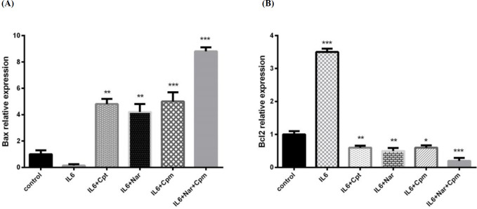 The effect of Naringenin alone or in combination with cyclophosphamide on IL-6-induced modulation of the protein expression of (A) BAX and (B) Bcl-2 The demonstrated results are mean ± SD of at least three individual experiments. *P < 0.05, **P < 0.01, ***P < 0.001