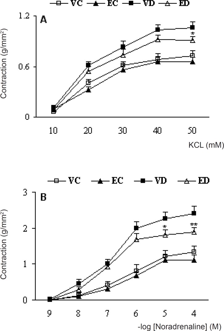 Cumulative concentration-response curves for KCL (A) and NA (B) in endothelium-intact aortic preparations 1 month after the exprement . Contractile responses are expressed as grams of tension per cross sectional area (mm2). Data are shown as means ±SEM. *P<0.05, **P<0.01(Compared to VD) (VC, EC, VD and ED represent vehicle-treated control . extract- treated control , vehicle-treated diabetic, and extract- treated control, dose of 200 mg/kg of the extract)