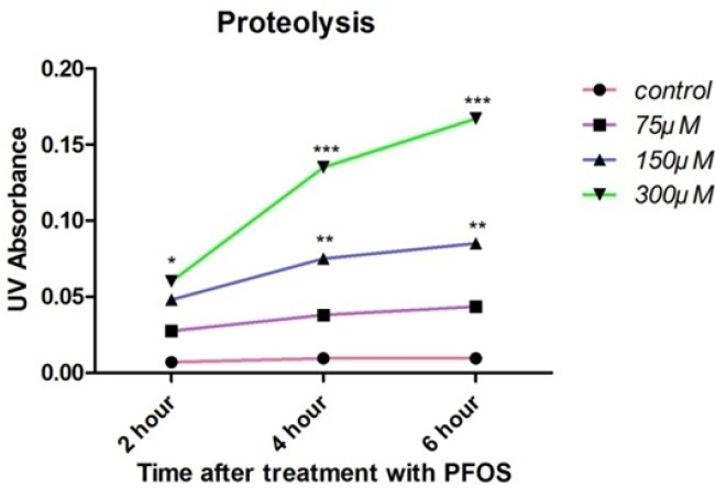PFOS-induced cellular proteolysis in human lymphocytes.Cellular proteolysis after treatment of human lymphocytes with PFOS. Cellular proteolysis was assessed based on reaction of OPA with amino groups in presence of 2-mercaptoethanol. Statistically significant (P < 0.05) increase in free amino acids was observed at highest concentration of PFOS (300 µM) at all of time intervals, but 150 µM PFOS induced significant (P < 0.05) release of amino acids only at 4 and 6 h after treatment in comparison with control. *P < 0.05, **P < 0.01 and ***P < 0.001.