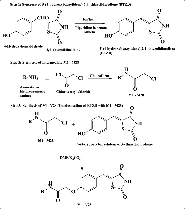 Route for the synthesis of TZD derivatives V1-V28