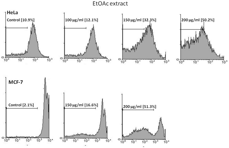 Flow cytometry histograms of apoptosis assays by PI method in HeLa and MCF-7 cells. Cells were treated with 100, 150 and 200 μg/mL in HeLa and 150 and 200 μg/mL in MCF-7 cells by EtOAc extract for 48 h. Sub-G1 peak as an indicative of apoptotic cells, was induced in EtOAc extract-treated but not in control cells indicating involvement of an apoptosis in EtOAc extract -induced cell death