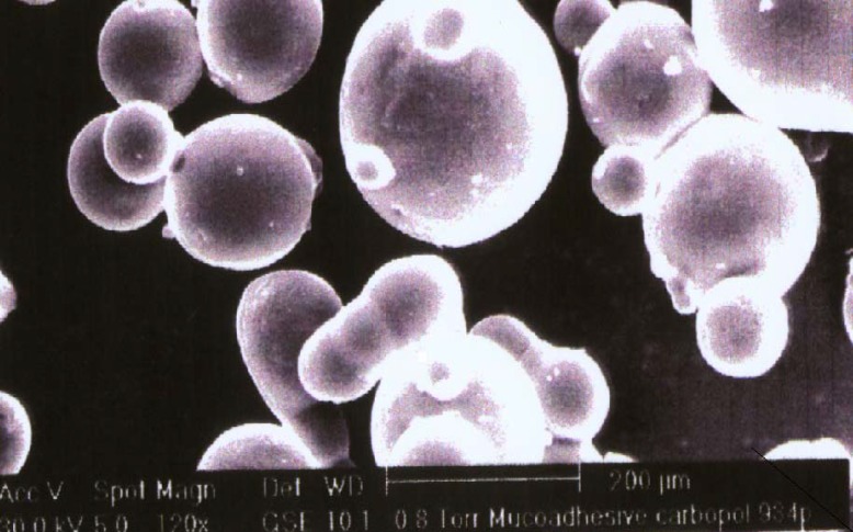 Scanning electron photomicrograph of propranolol hydrochloride loaded Carbopol-934P mucoadhesive microspheres (batch J4).