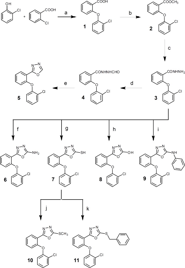 Reagents: (a) 1) Na, dry methanol, rt, 2h; 2) DMF, Cu, reflux; (b) methanol, H2SO4, reflux, 7 h; (c) methanol, NH2NH2.H2O, stir, rt, 12 h; (d) formic acid, reflux, 4 h; (e) P2O5, xylene, reflux, 3 h; (f) BrCN, dioxan, stir, rt, overnight; (g) CS2, ethanol, KOH, reflux, 7 h; (h) 1,1΄-carbonyldiimidazole, triethylamine, dry THF, 0°C, 5h then rt, overnight; (i) toluene, phenylisocyanate, DCC, reflux, 7 h; (j) methyl iodide, ethanol, NaOH, ultrasonication, 5 min; (k) benzyl chloride, ethanol, NaOH, ultrasonication, 5 min