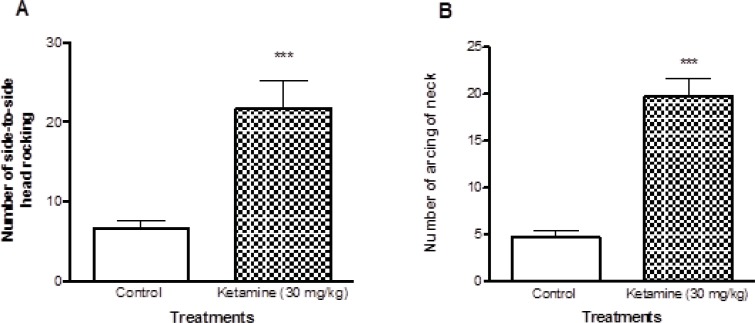 Comparison of locomotor activities between ketamine (30 mg/Kg ip × 5 days) treated and control rats. There were 7 rats in each group. A shows the number of Side to side head rocking behaviors and the B shows the number of arcing behaviors of neck in both ketamine (30 mg/Kg ip × 5 days) and control rats. Values are presented as mean ± SD (n = 7). *** represents P < 0.001 significant difference in comparison to control