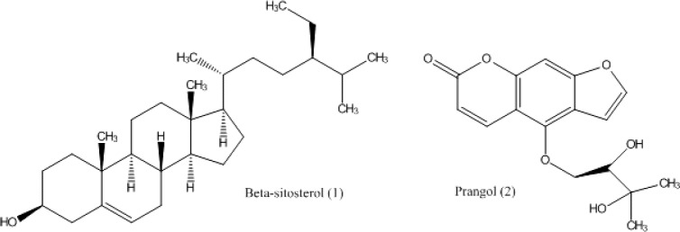 Chemical structures of the isolated compounds from A. tenuifolia.