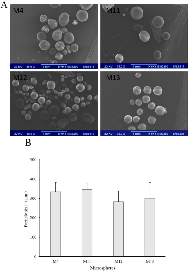 (A) SEM images and (B) number average particle size of M4, M11, M12 and M13