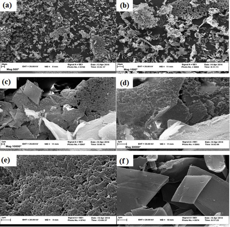 SEM images of saffron essential oil encapsulate with ß-CD/GA (75:25) at different magnitudes (a: magnitude of 500, b: magnitude of 1000, c: magnitude of 10000, and d: magnitude of 30000), and SEM images of GA (e) and ß-CD (f) at magnitude of 30000, respectively