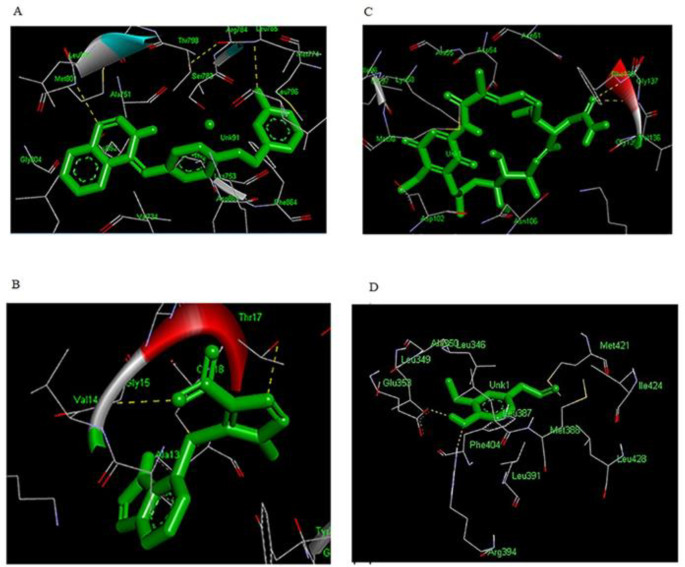 (A) Lapatinib-ERBB2 (B) Azathioprine-RAC1 (C) Geldanamycin-HSP90AB1 (D) Eugenol-ESR1. Molecular docking complexes. Drugs are shown in green stick model. H-bonds formed between residues and drugs are shown as yellow lines