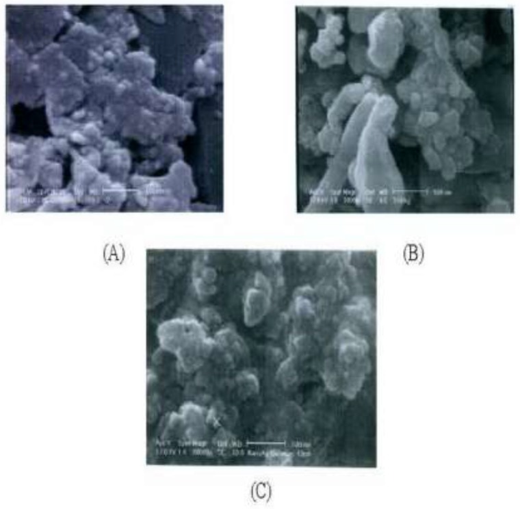 SEM micrographs of the IKAg (A) and PKAg (B) and AgNPs (C).