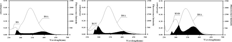 Spectral overlap of fluorescence ( ex = 280 nm) of BSA solution and absorption of RSBs (RS, ROV, RMS) solutions ([BSA] = [RSBs] = 1.00   10-5 mol/L).