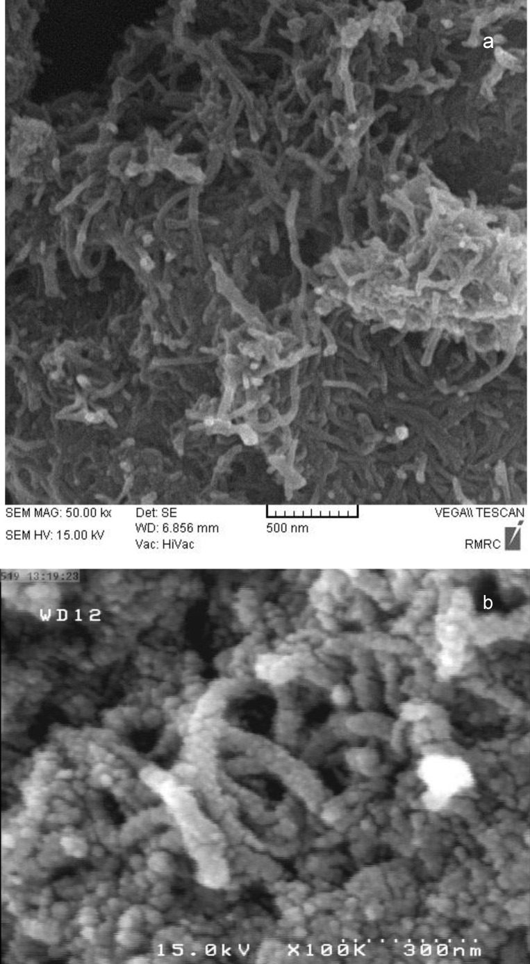 SEM images of (a) c-SMWCNT, and (b) c-SMWCNT@Fe3O4