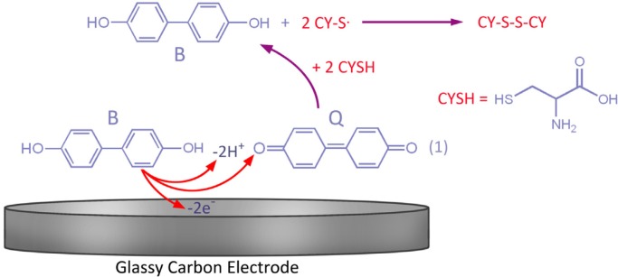 Proposed mechanism for the electrochemical oxidation of 4,4′-biphenol in the presence of CySH