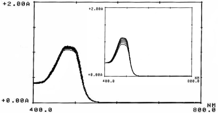 Absorption spectra of the inhibited reaction. (Conditions: Orange G, 6.6 × 10-5 mol L-1; sulfuric acid, 0.8 mol L-1; ascorbic acid, 1.5 µg mL-1; bromate, 5.0 × 10-3 mol L-1; 25 °C and 4.0 min). Inset shows the absorption spectra of the uninhibited reaction
