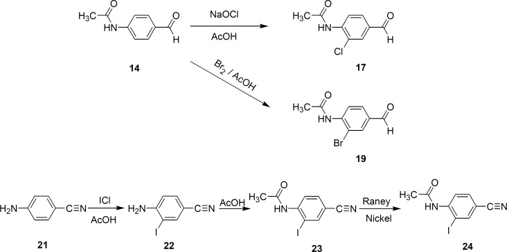 synthesis of halogenated derivatives of thiacetazone