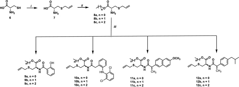 Synthesis of hybrids of S-allyl Cysteine methyl ester-based non-steroidal anti-inflammatory drugs. Reagents and conditions: (i) Allyl bromide, NH4OH, 80% (ii) SOCl2, ROH, -10 °C, 60-90%. (iii) HBTU, Et3N, THF, (salicylic acid, diclofenac, naproxen or ibuprofen) between 25-75% yields