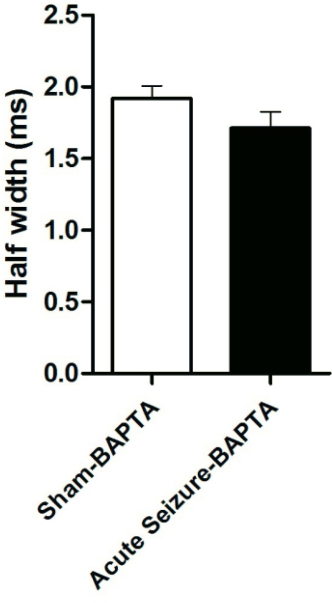 Effect of BAPTA on AP half-width. Application of BAPTA prevented change in AP half-width in seizure group compared to that of BAPTA-sham cells. Data were shown as mean + SEM (N = 5).